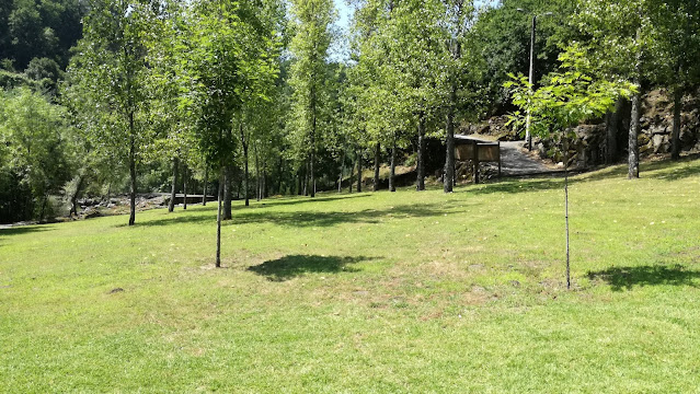 Zona verdejante Zona verdejante