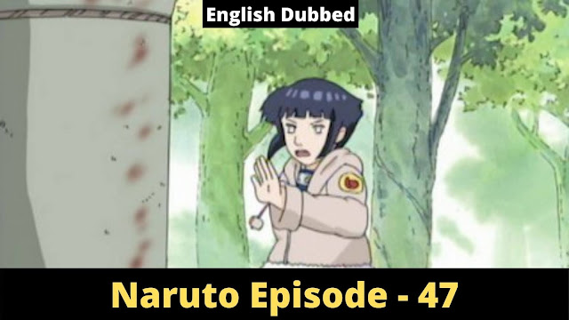 Naruto - Episode 47 - A Failure Stands Tall! [English Dubbed]