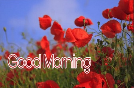 Good morning Images Good morning Images
