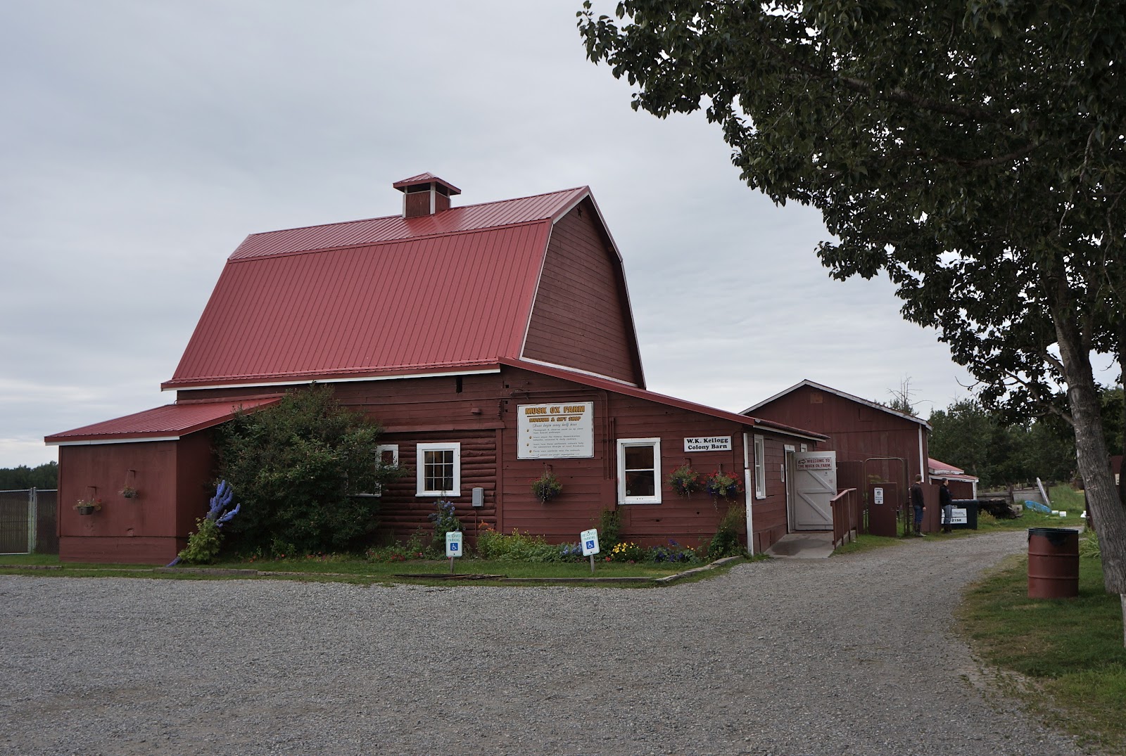 Along for the ride Palmer, Alaska