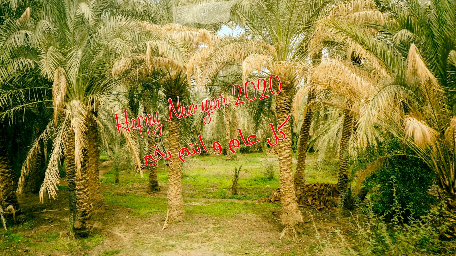 Egyptian Chronicles Happy New Year from Egyptian Chronicles