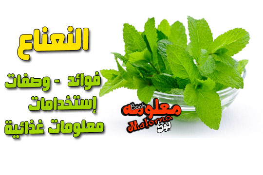 فوائد النعناع وصفات استخدامات