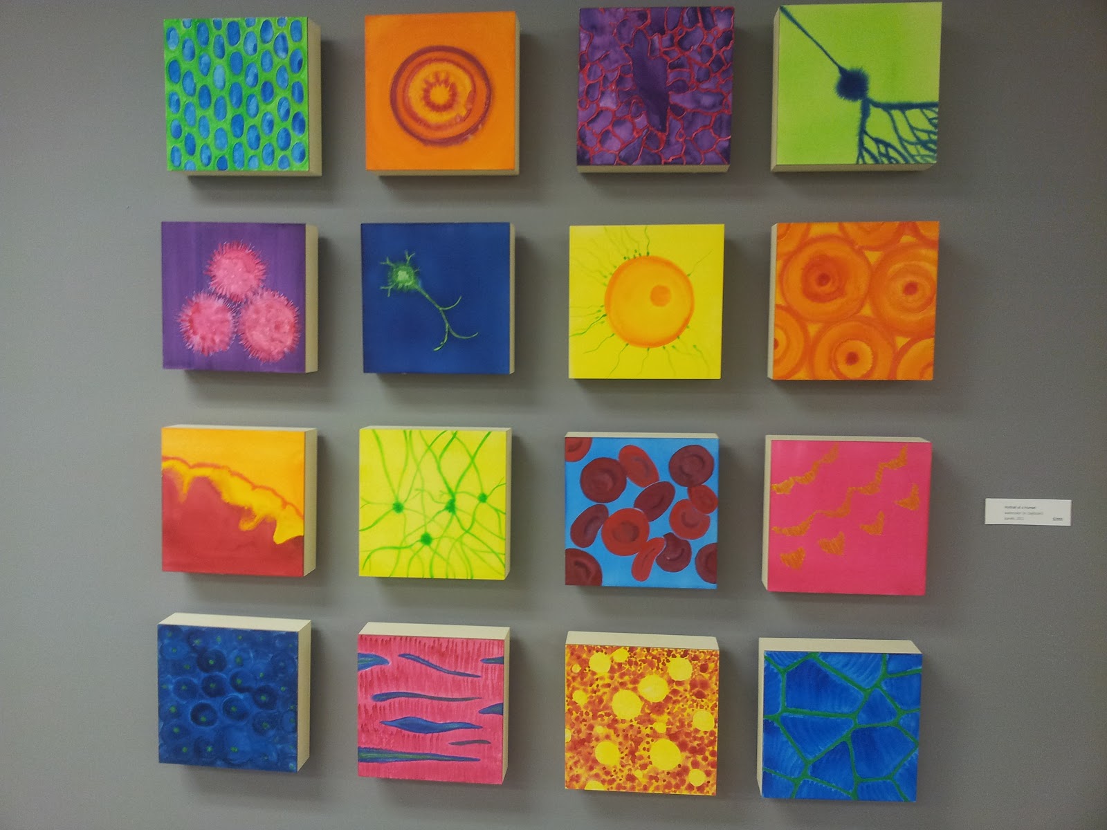 The Cellular Scale Science + Art at Artomatic