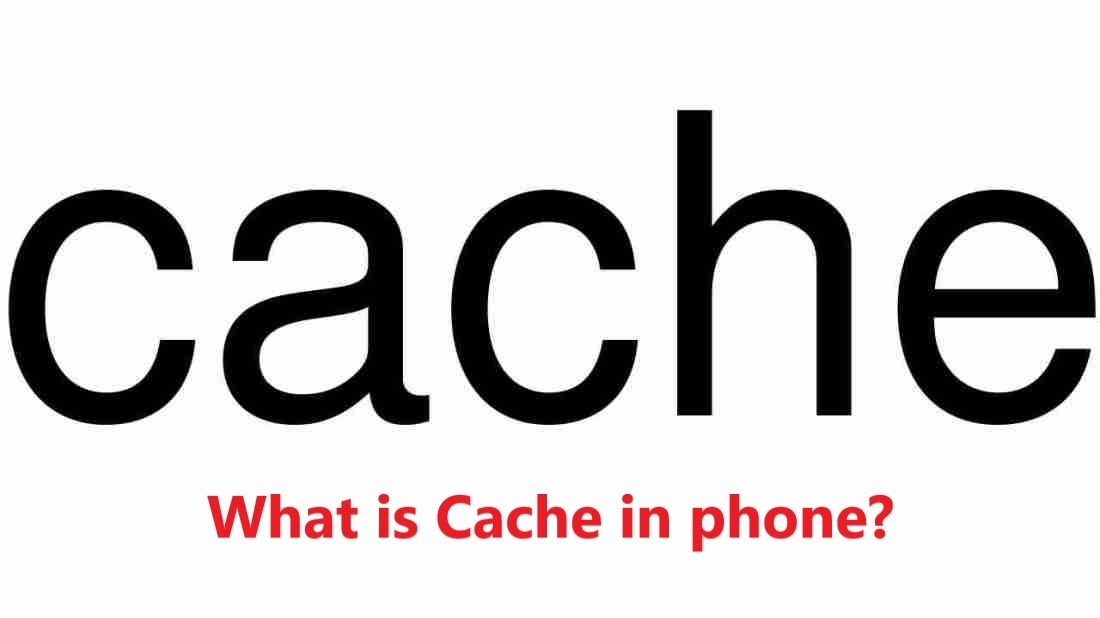 Fact ology fact-ology