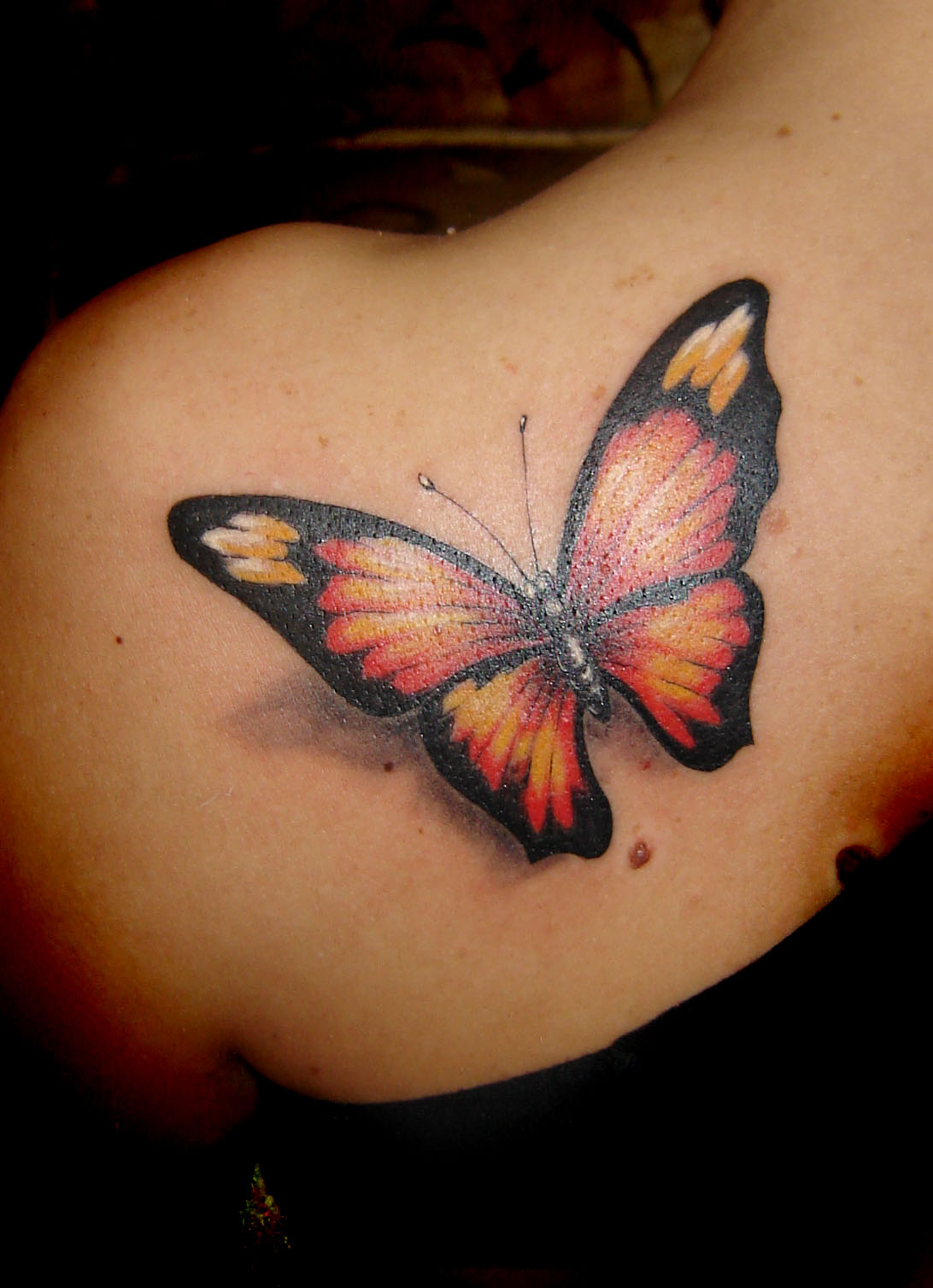 tattoo designs 7 back shoulder left butterfly tattoos title=