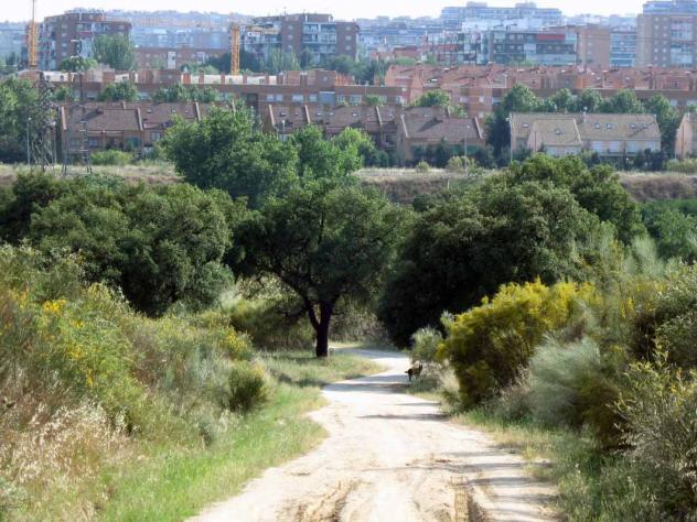 MAYORES DE CHAMARTÍN: PASEA TU CIUDAD. ARROYO BUTARQUE-LAS PRESILLAS