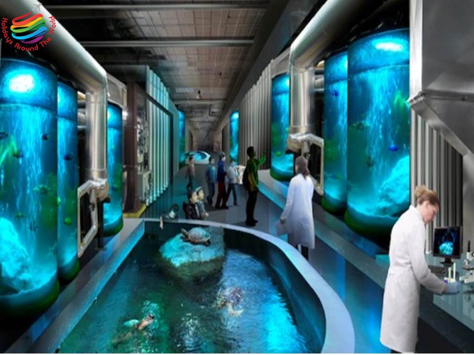 Discover the beautiful city Alexandria