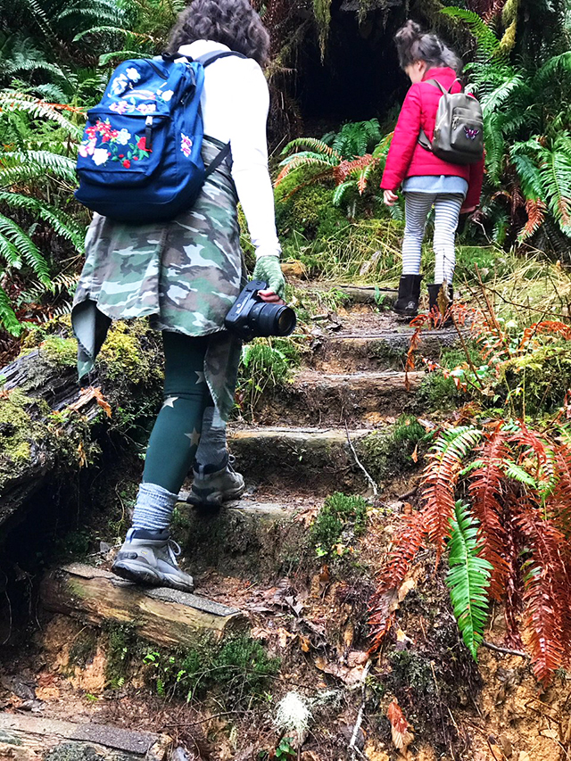 exploring we will go: willapa national wildlife refuge