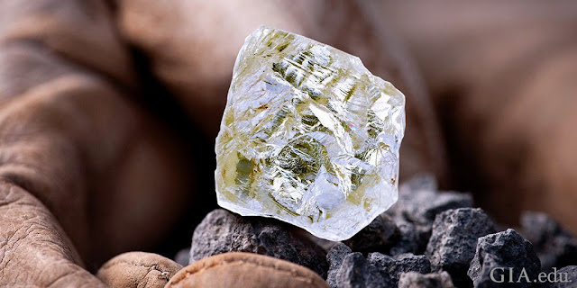 187.7ct Foxfire Diamond Discovered in Sub-arctic Ice