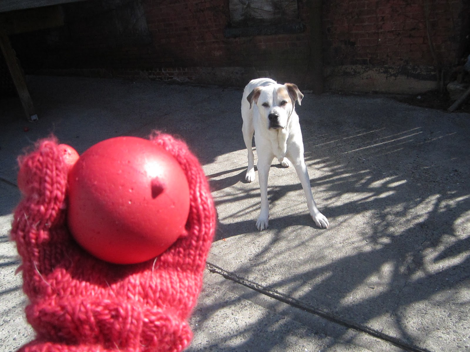 Urban Hounds: Super Easy Magic Loop Mittens