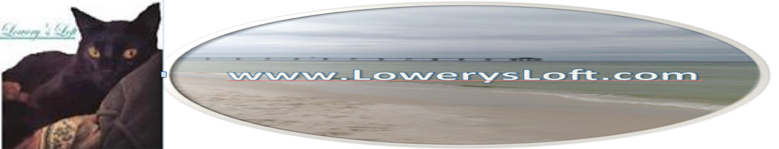 Lowery's Loft LLC
