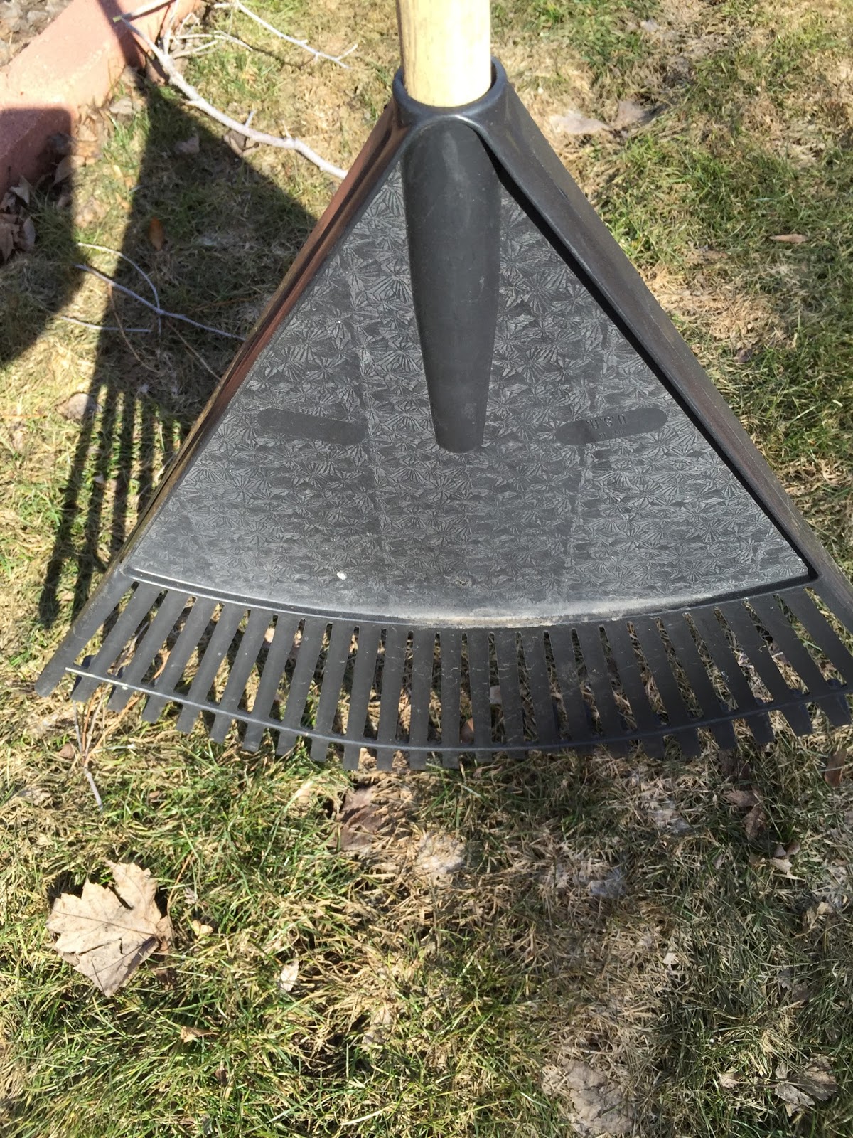 JeffCo Master Gardeners Check Your Turf for Snow Mold by Donna Duffy