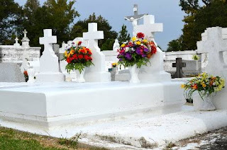 Catholic Daily Reading + Reflection, 25 August 2021