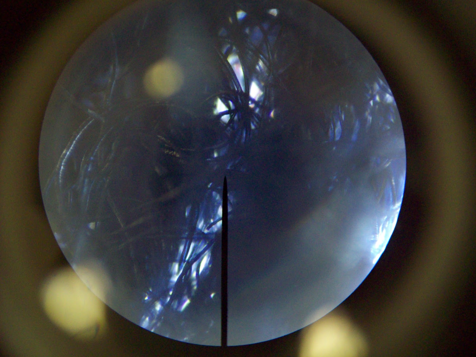 Forensics Study and Analysis Forensics Crime Scene