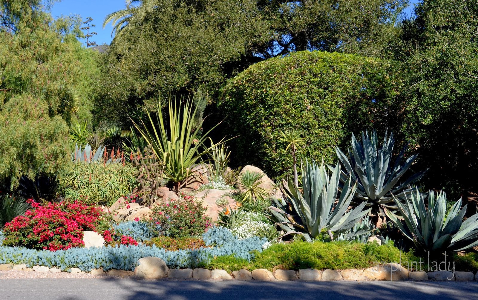 Drought-Tolerant Landscapes - Colorful or Boring? - Ramblings from a Desert Garden on Beautiful Garden Landscape
 id=75733
