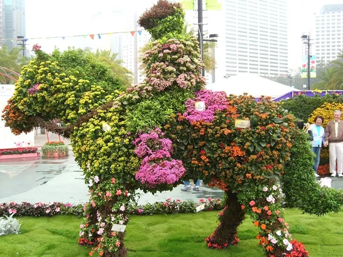 Scultura vegetale | L'arte Topiaria