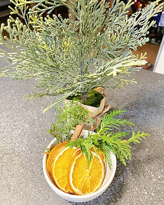 bowl of orange slices