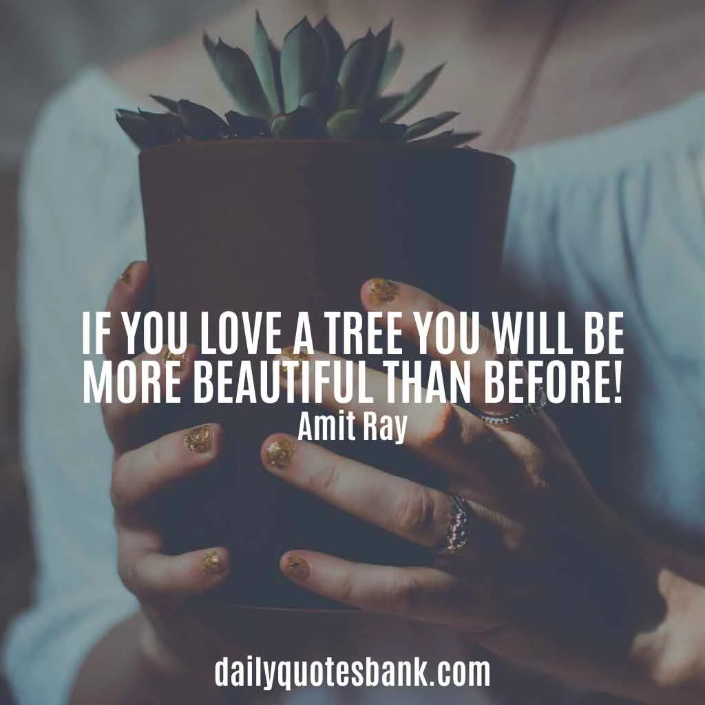 Inspirational Quotes About Planting Trees For Future Generations