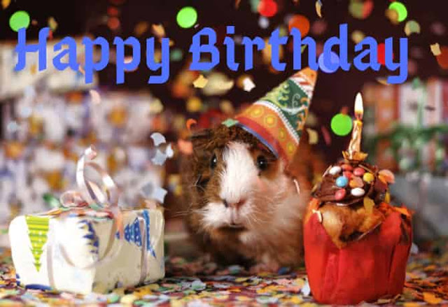 Images of happy birthday son Images of happy birthday son