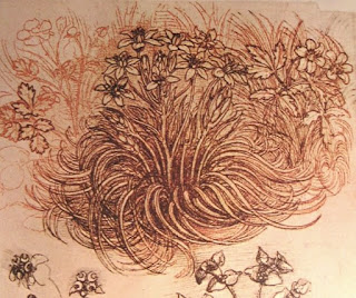 Drawing by Leonardo Da Vinci