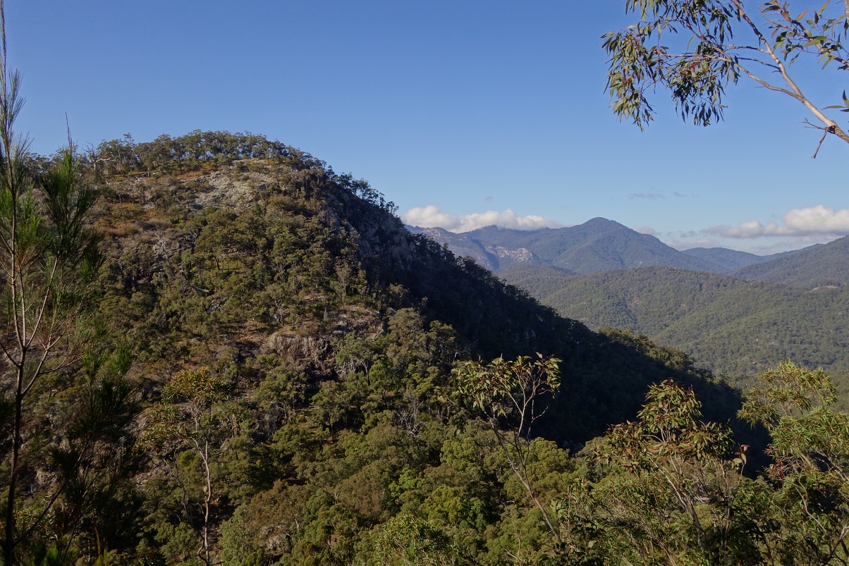 Conqueror of the Mountains of Australia in General and South East ...
