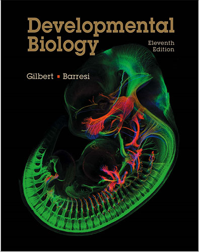biological development essay