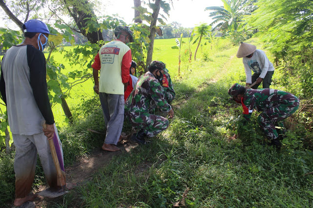 Tak Ingin Tanggul Longsor dan Gagal Panen Babinsa Cawas Bersama BPP Cawas adakan Gerdal Tikus