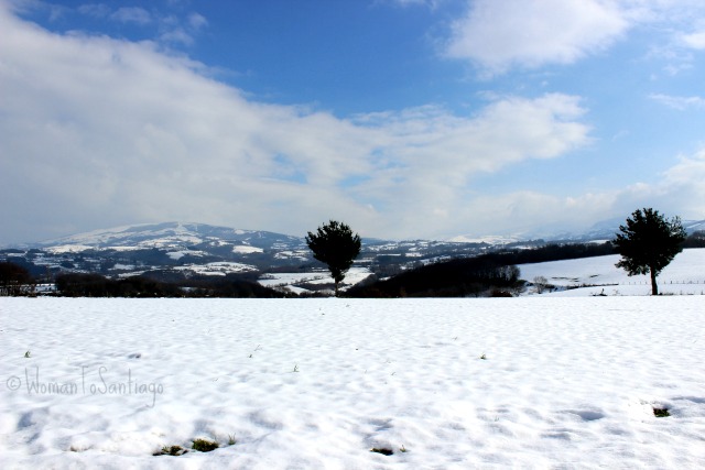 foto de prado nevado