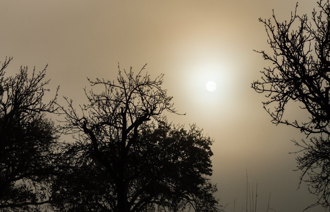 Туман в долине Туман в долине