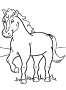 Cavalos (desenhos colorir cavalo )