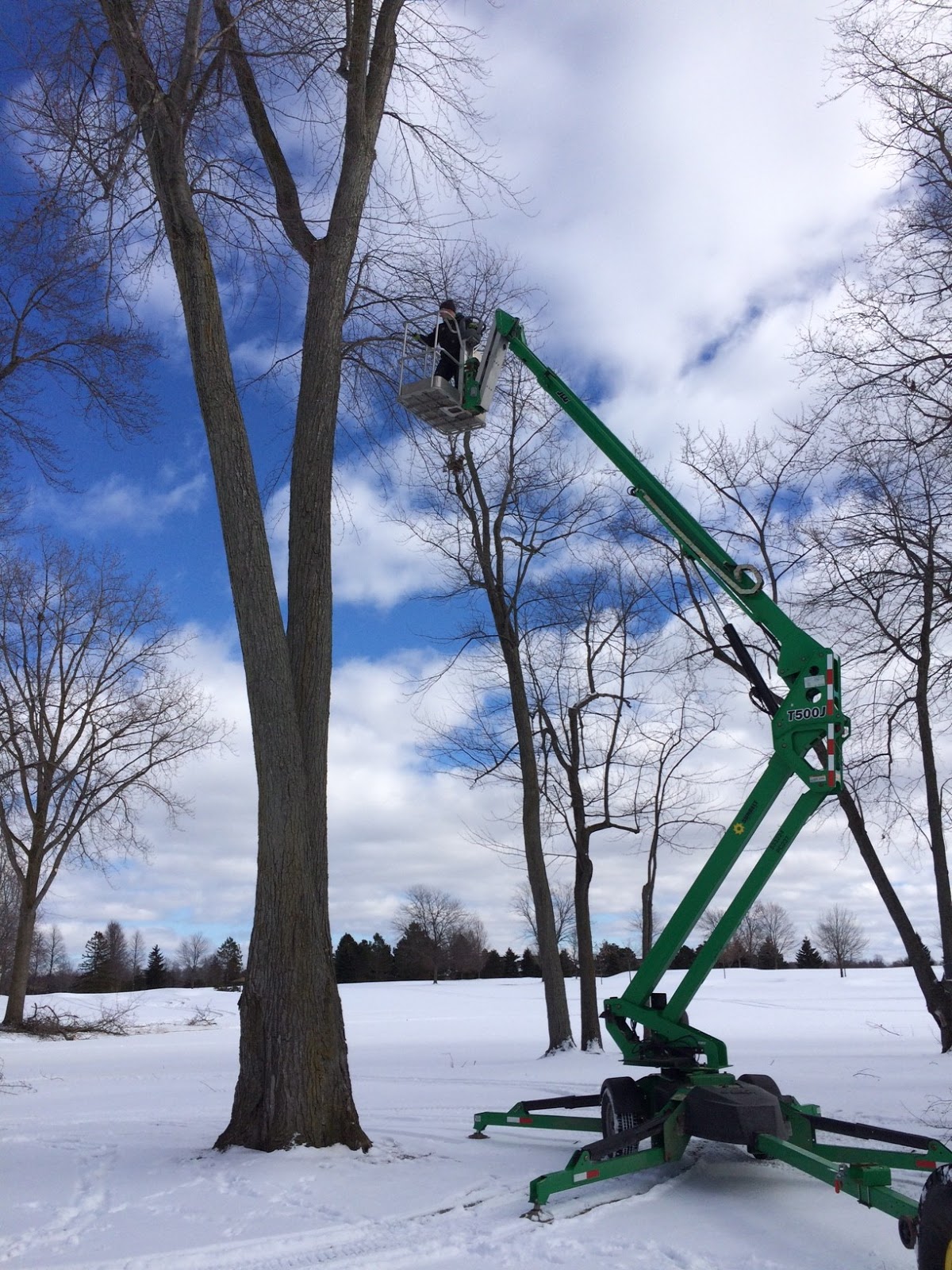 Walnut Creek Country Club Aerial Lift Used For InHouse Tree Pruning