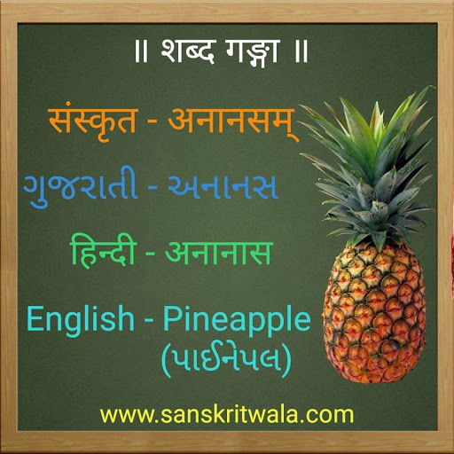 Sanskritwala Fruits Names in Sanskrit