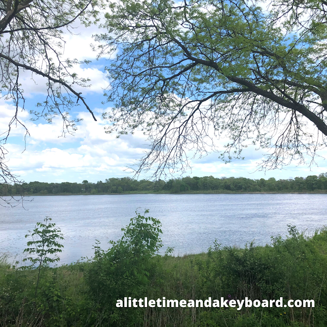 A Little Time and a Keyboard Basking in Nature at Hastings Lake Forest