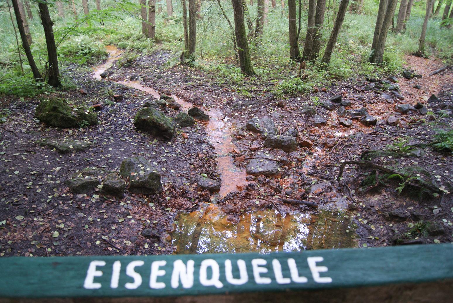 Jagdwaffennetz Fangjagdlehrgang Des Landesjagdverbandes Nrw