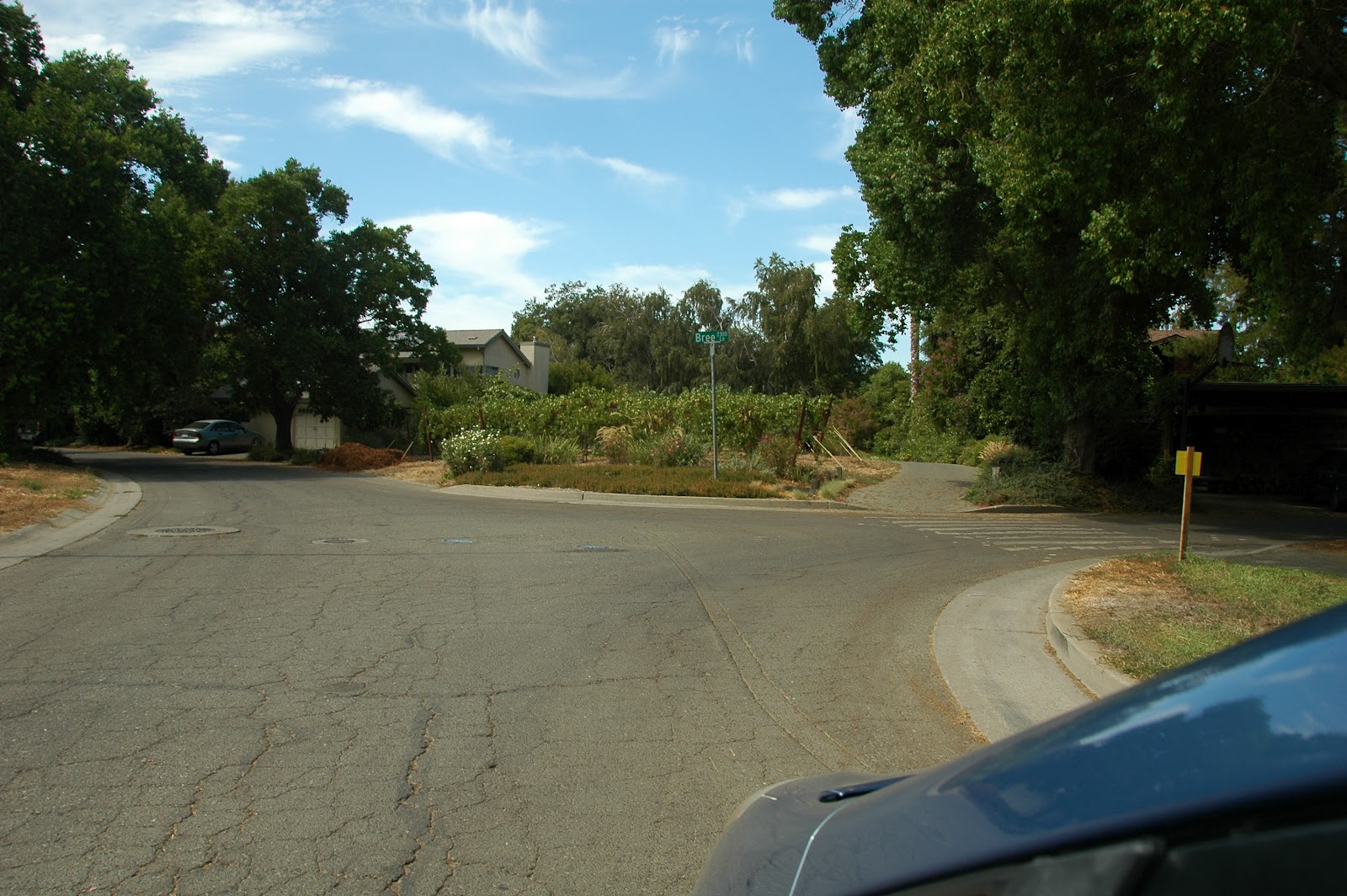 Where Do We Go from Here? Village Homes in Davis Offers Good and Bad