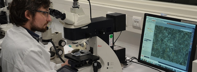 Daily grind: The biography of a stone axe