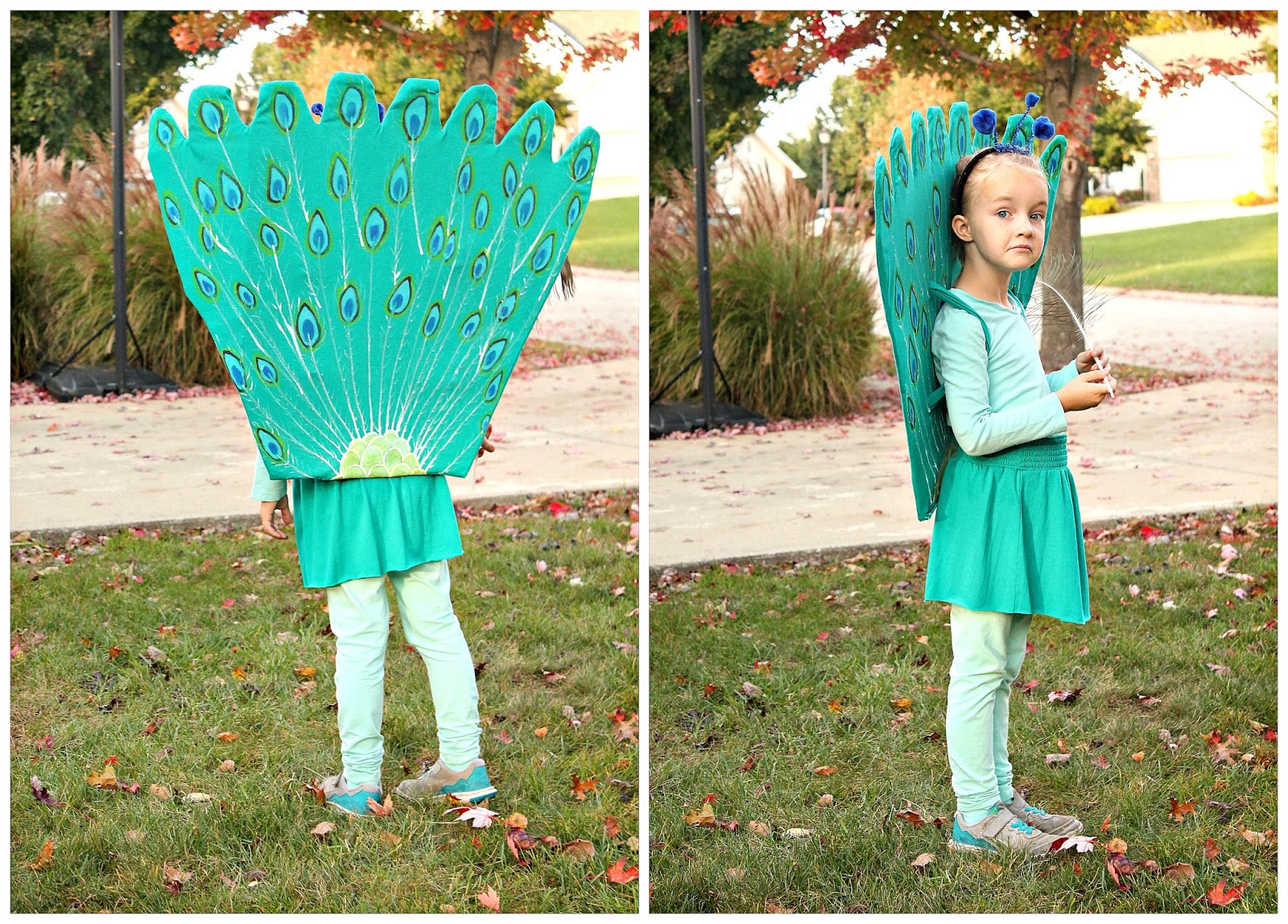 Freshly Completed DIY Peacock Costume