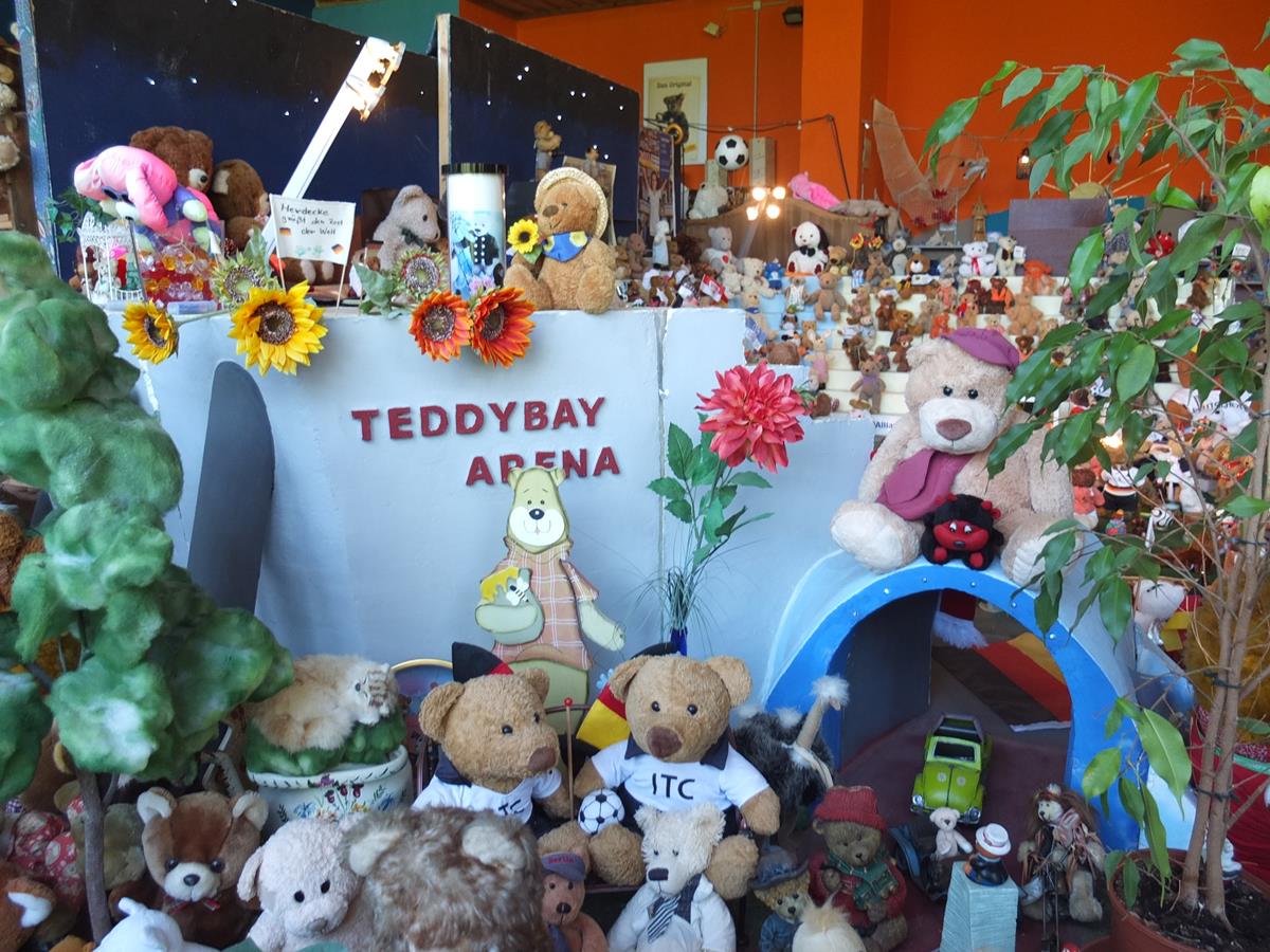 Ein Beagle Auf Wanderschaft Die Grossvatertanne Bei Freudenstadt