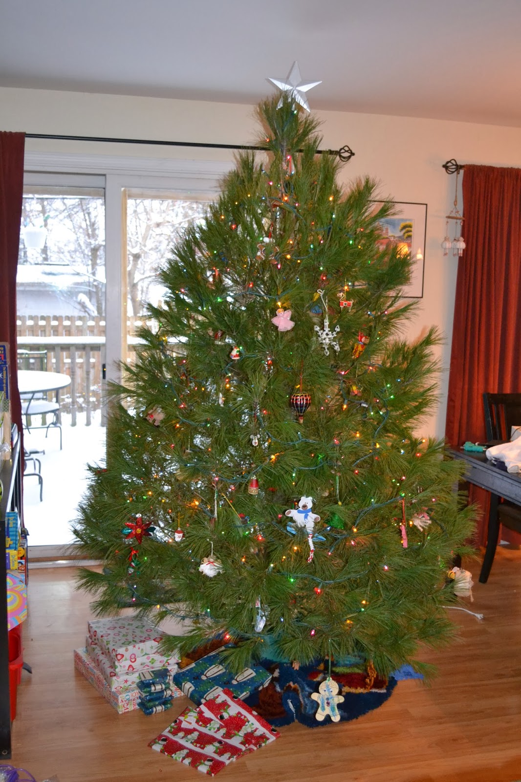 The Life and Times of N2 Decorating the Christmas Tree