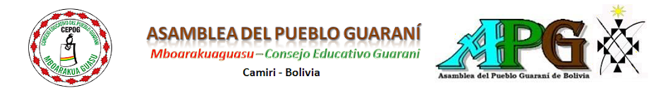 Consejo Educativo Guaraní