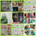 Sudah Pelbagai Testimoni - Whatsapp 011-14503411 (Mobile Stokis CellMaxx Putrajaya)