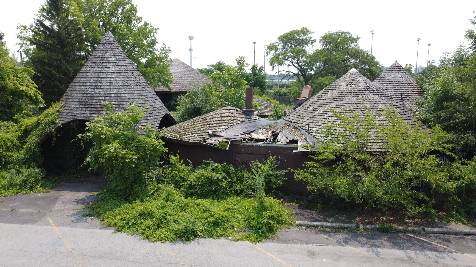 Michigan Exposures The Detroit Belle Isle Zoo