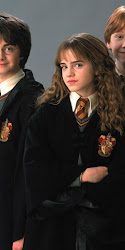 harry potter ron hermione weasley granger waofam