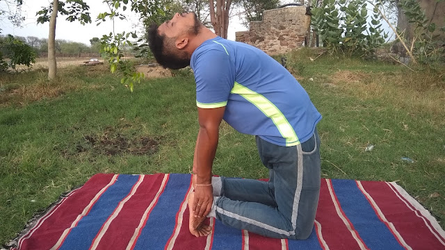 Ushtrasana उष्ट्रासन इंटरनेशनल योगा डे 2019 International yoga day 2019