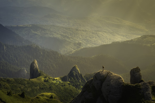 47 Great Nature Blog Names 47 Great Nature Blog Names