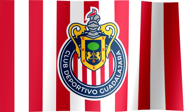 . Guadalajara Flag (GIF) - All Waving Flags