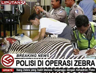 Koleksi Gambar Meme Foto Lucu Unik Operasi Zebra dan Razia Polisi Koleksi Gambar Meme Foto Lucu Unik Operasi Zebra dan Razia Polisi