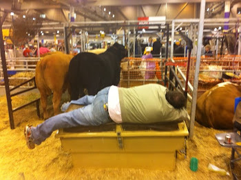 Cowboy had too much beer.