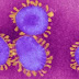 Estudo mostra que mesmo doentes com formas leves da Covid-19 podem desenvolver imunidade