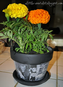 Photo Flower Pot | Mothere's Day Gift | A little about a Lot